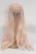 画像1: 8inch/ウィッグ/インチ　BJD　MJD　ドール用 A-25-03-05-045-NY-ZA (1)