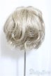 画像2: 8-9inch/ウィッグ/インチ　BJD　MJD　ドール用 A-25-03-05-150-NY-ZA (2)