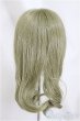 画像2: 9-10inch/ウィッグ　VOLKS/インチ　BJD　MJD　ドール用 A-25-02-26-283-KD-ZA (2)