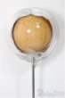 画像1: 8-9inch/ウィッグ/インチ　BJD　MJD　ドール用 A-25-03-05-429-KD-ZA (1)