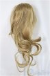 画像2: 9-10inch/ウィッグ/インチ　BJD　MJD　ドール用 A-25-03-05-419-KD-ZA (2)
