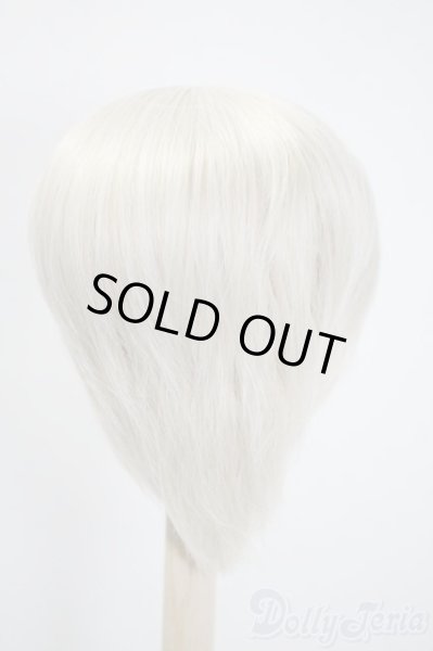 画像2: 9-10inch/ウィッグ U-25-03-18-026-KD-ZU (2)