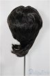 画像2: 8.5-9inch/ウィッグ/インチ　BJD　MJD　ドール用 A-25-03-12-245-KD-ZA (2)