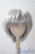 画像1: 9-10inch/ウィッグ U-25-03-25-050-NY-ZU (1)