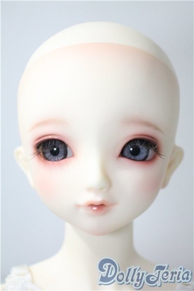 画像1: ＳＤＧＩＲＬ/フルチョイスＦ-60(ここタイプ) U-25-04-01-220-NY-ZU (1)