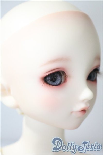 画像2: ＳＤＧＩＲＬ/フルチョイスＦ-60(ここタイプ) U-25-04-01-220-NY-ZU (2)