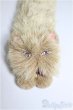 画像4: SD/OF:小物/1/3　60ｃｍ　BJD　MJD　衣装　ドール用 A-25-03-19-220-NY-ZA (4)