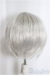 画像2: 8inch/ウィッグ/インチ　BJD　MJD　ドール用 A-25-03-19-219-NY-ZA (2)