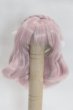 画像1: 7-8inch/ウィッグ/インチ　BJD　MJD　ドール用 A-25-04-02-085-NY-ZA (1)