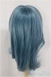 画像2: 8-9inch/ウィッグ zephyr製/インチ　BJD　MJD　ドール用 A-25-03-26-119-KD-ZA (2)