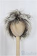 画像1: 10inch/ウィッグ　ボア/インチ　BJD　MJD　ドール用 A-25-03-26-120-KD-ZA (1)