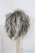 画像2: 10inch/ウィッグ　ボア/インチ　BJD　MJD　ドール用 A-25-03-26-120-KD-ZA (2)