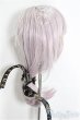 画像3: 8-9inch/ウィッグ/インチ　BJD　MJD　ドール用 A-25-03-26-272-NY-ZA (3)