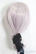 画像4: 8-9inch/ウィッグ/インチ　BJD　MJD　ドール用 A-25-03-26-272-NY-ZA (4)