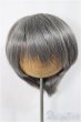 画像1: 8-9inch/ウィッグ/インチ　BJD　MJD　ドール用 A-25-04-02-216-NY-ZA (1)
