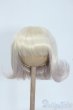 画像1: 8-9inch/ウィッグ　みさんとるーぷ 様製 Y-25-08-06-227-NY-ZY (1)