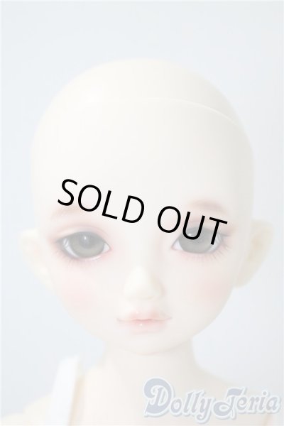 画像1: SDM/のあ　スタンダードモデル A-25-04-08-213-NY-ZA (1)