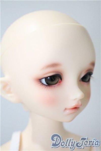 画像2: SDM/のあ　スタンダードモデル U-25-04-08-213-NY-ZU (2)