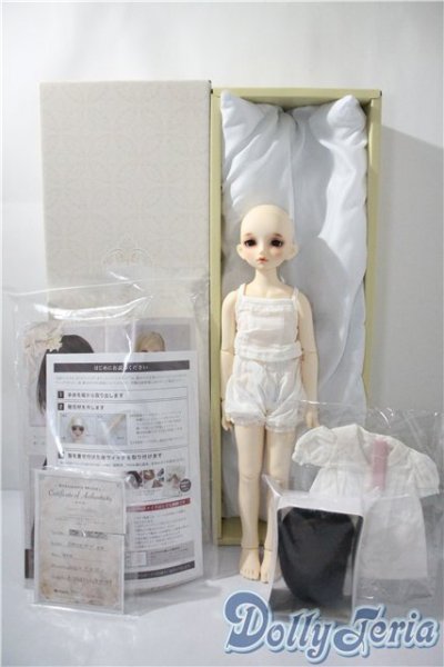 画像7: SDM/のあ　スタンダードモデル U-25-04-08-213-NY-ZU (7)