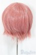 画像2: 8-9inch/ウィッグ/インチ　BJD　MJD　ドール用 A-25-04-02-330-NY-ZA (2)