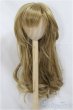 画像1: 8.5-9inch/ウィッグ/インチ　BJD　MJD　ドール用 A-25-04-09-232-NY-ZA (1)