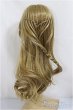 画像2: 8.5-9inch/ウィッグ/インチ　BJD　MJD　ドール用 A-25-04-09-232-NY-ZA (2)