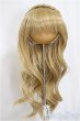 画像1: 8-9inch/ウィッグ/インチ　BJD　MJD　ドール用 A-25-04-09-324-KD-ZA (1)