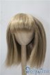 画像1: 9-10inch/ウィッグ U-25-04-15-096-NY-ZU (1)