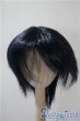 画像1: 9-10inch/ウィッグ U-25-04-29-040-NY-ZU (1)
