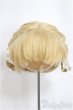 画像1: 9-10inch/ウィッグ/インチ　BJD　MJD　ドール用 A-25-04-16-331-NY-ZA (1)