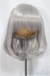 画像1: 9inch/ウィッグ DOLLCE/インチ　BJD　MJD　ドール用 A-25-04-16-376-KD-ZA (1)