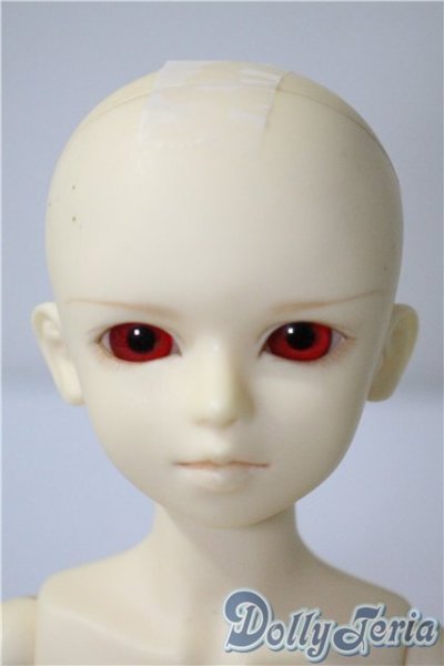 画像1: MSDBOY/フルチョイス F-08 U-25-04-29-209-KD-ZU (1)