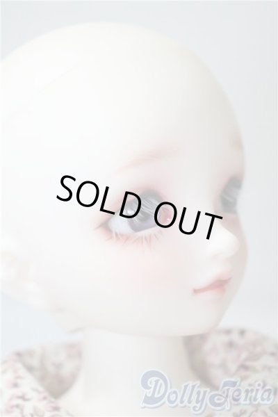 画像3: SDMG/F-62:コーディネートモデル U-25-05-06-212-NY-ZU (3)