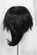 画像2: 9inch/ウィッグ/インチ　BJD　MJD　ドール用 A-25-05-07-104-NY-ZA (2)