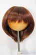 画像1: 7-8inch/ウィッグ/インチ　BJD　MJD　ドール用 A-25-05-07-106-NY-ZA (1)