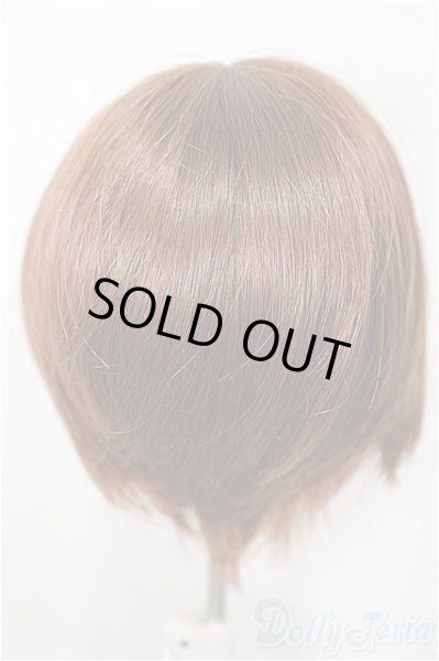 画像2: 7-8inch/ウィッグ/インチ　BJD　MJD　ドール用 A-25-05-07-106-NY-ZA (2)