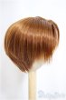 画像3: 9-10inch/ウィッグ/インチ　BJD　MJD　ドール用 A-25-05-07-208-NY-ZA (3)