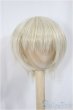 画像1: 8-9inch/ウィッグ/インチ　BJD　MJD　ドール用 A-25-05-07-395-KD-ZA (1)
