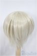 画像2: 8-9inch/ウィッグ/インチ　BJD　MJD　ドール用 A-25-05-07-395-KD-ZA (2)