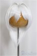 画像1: 7inch/ウィッグ　salafina/インチ　BJD　MJD　ドール用 A-25-05-07-206-KD-ZA (1)