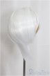 画像2: 7inch/ウィッグ　salafina/インチ　BJD　MJD　ドール用 A-25-05-07-206-KD-ZA (2)