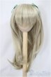画像1: 9-10inch/ウィッグ　DOLLCE　フィーラーロング/砂色/インチ　BJD　MJD　ドール用 A-25-05-07-377-KD-ZA (1)