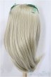 画像2: 9-10inch/ウィッグ　DOLLCE　フィーラーロング/砂色/インチ　BJD　MJD　ドール用 A-25-05-07-377-KD-ZA (2)