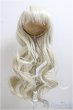 画像1: 8-9inch/ウィッグ/インチ　BJD　MJD　ドール用 A-25-05-28-149-NY-ZA (1)