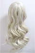 画像2: 8-9inch/ウィッグ/インチ　BJD　MJD　ドール用 A-25-05-28-149-NY-ZA (2)