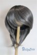 画像1: 9-10inch/ウィッグ/インチ　BJD　MJD　ドール用 A-25-05-21-025-NY-ZA (1)