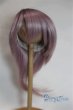 画像1: 9-10inch/ウィッグ/インチ　BJD　MJD　ドール用 A-25-05-21-008-NY-ZA (1)