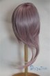 画像2: 9-10inch/ウィッグ/インチ　BJD　MJD　ドール用 A-25-05-21-008-NY-ZA (2)