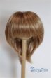 画像1: 7-8inch/ウィッグ/インチ　BJD　MJD　ドール用 A-25-05-21-009-NY-ZA (1)