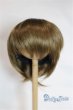 画像1: 8-9inch/ウィッグ/インチ　BJD　MJD　ドール用 A-25-05-21-005-NY-ZA (1)
